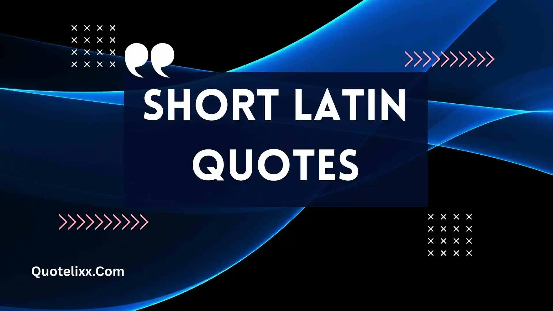 short latin quotes