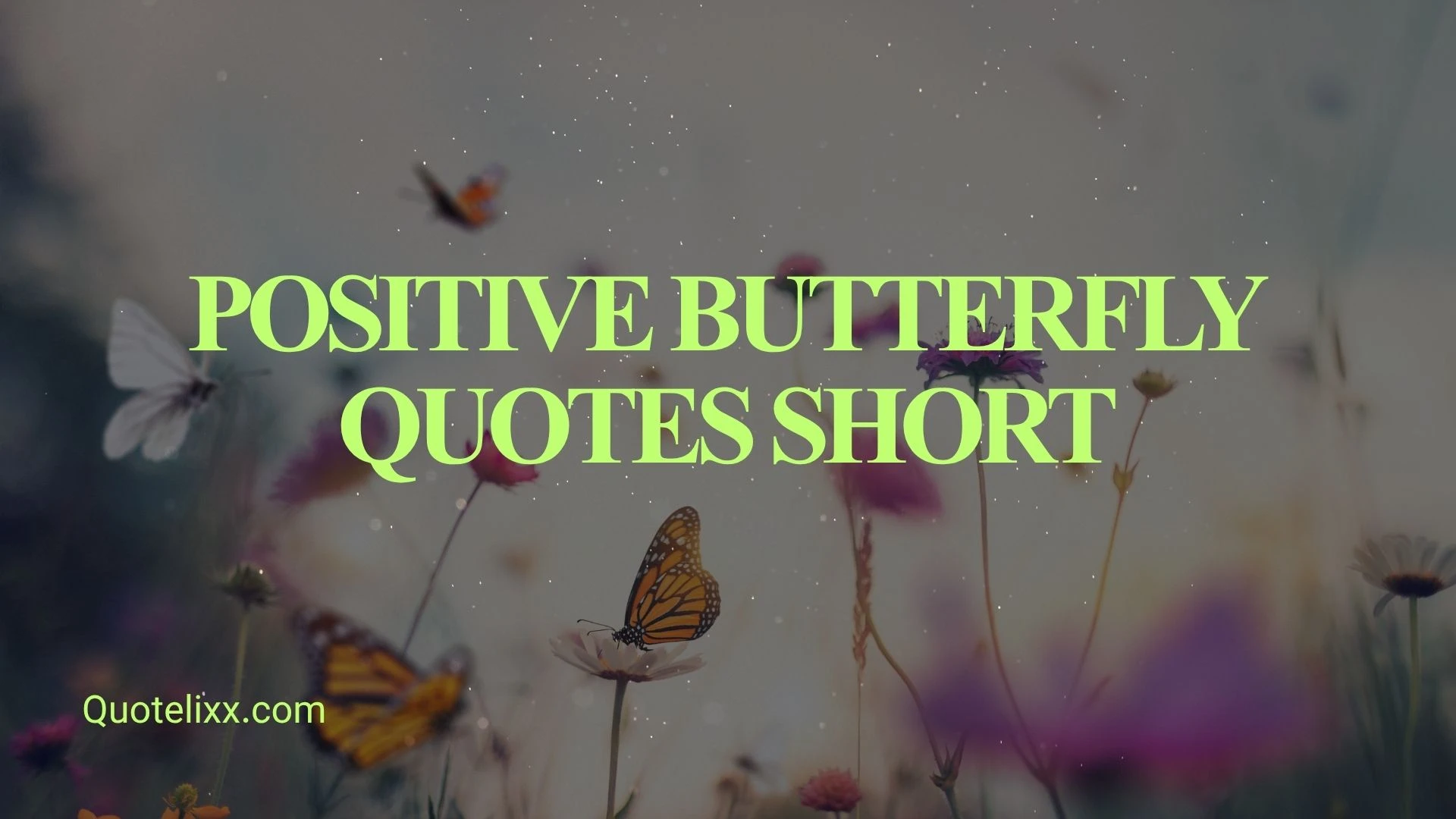 positive butterfly quotes short