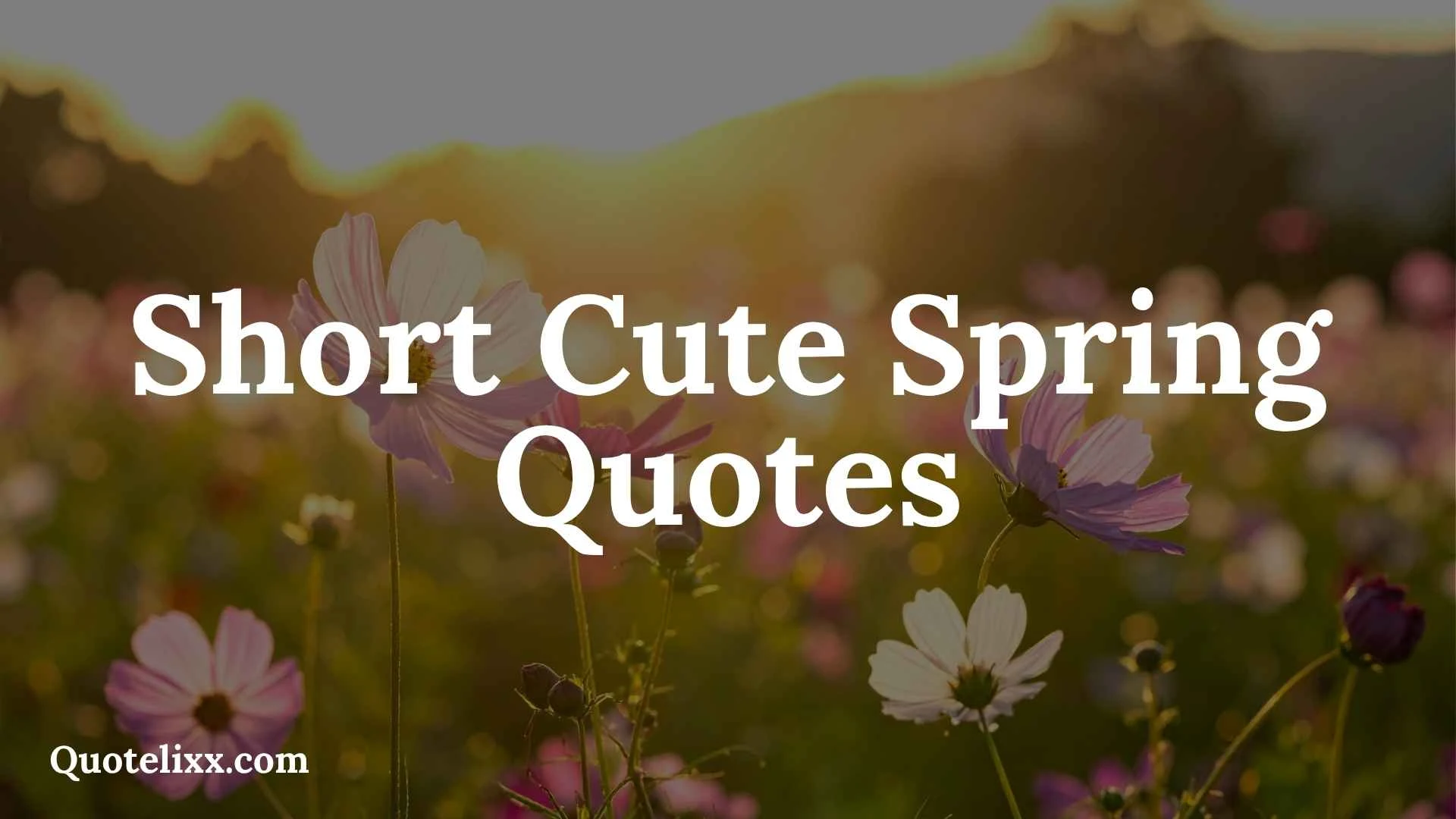 short cute spring quotes