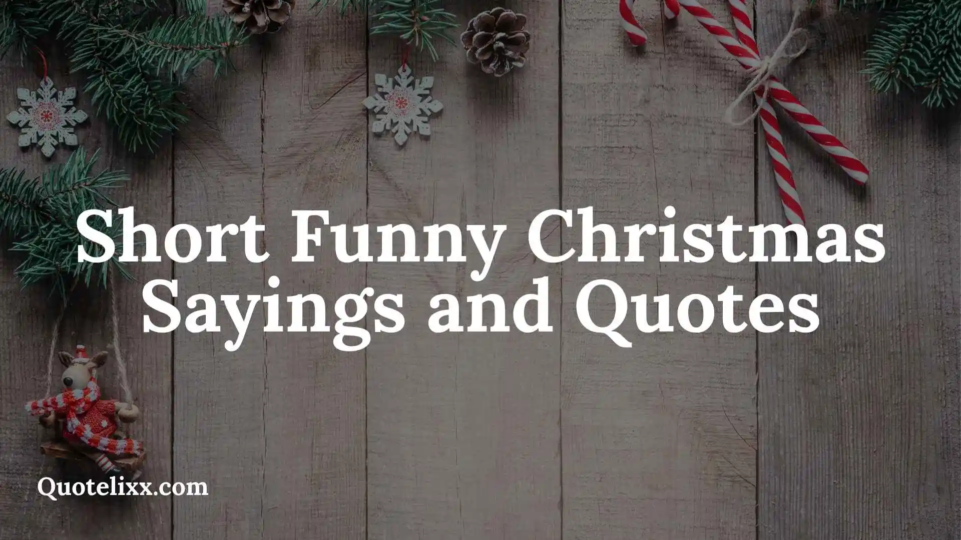 short funny christmas sayings and quotes