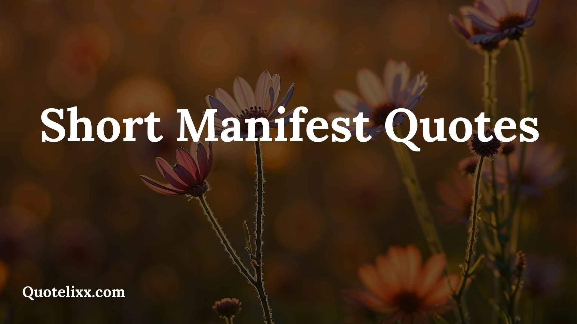 short manifest quotes