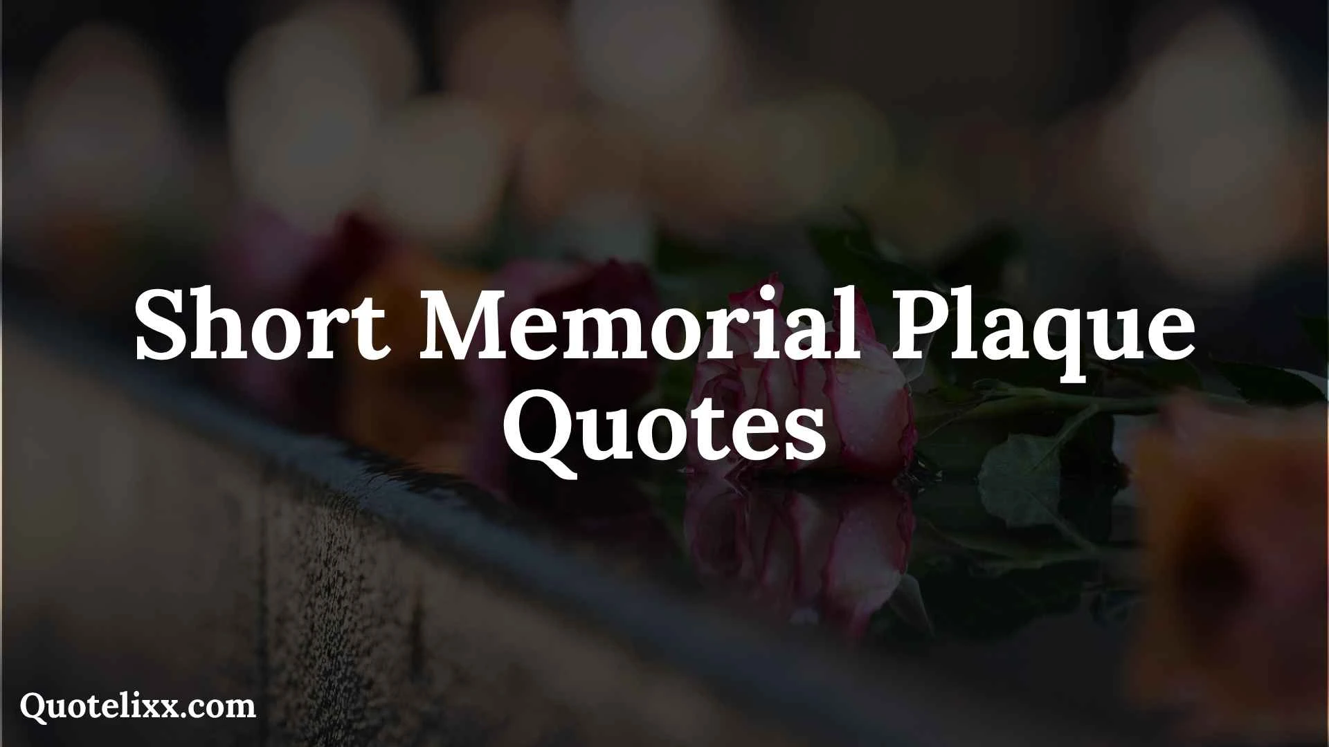 Short Program Example 231+ Short Memorial Plaque Quotes That Honor a Loved One